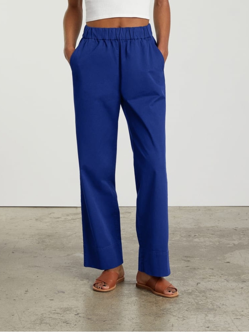 ✨ Everlane The Easy Pant in Royal Blue / Cobalt – Size 6 (EUC